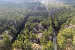 181 Lower Wirebridge Rd, Stephens, GA 30667 - Photo 29