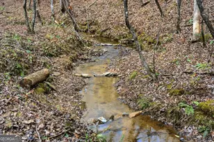 677 Catawba Cir, Ellijay, GA 30540 - Photo 67