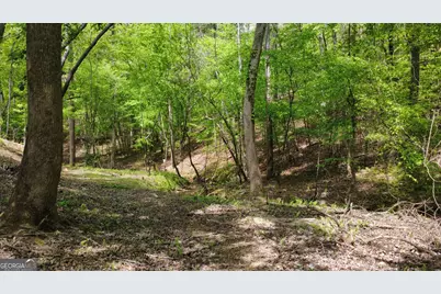 677 Catawba Circle, Ellijay, GA 30540 - Photo 71