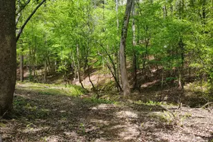 677 Catawba Cir, Ellijay, GA 30540 - Photo 71