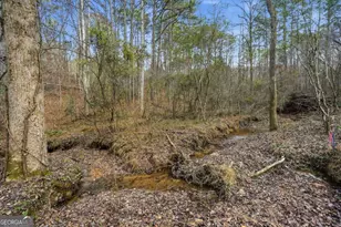 677 Catawba Cir, Ellijay, GA 30540 - Photo 73