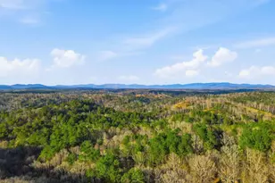 677 Catawba Cir, Ellijay, GA 30540 - Photo 63