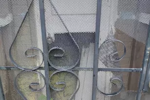 1925 Napier Ave, Macon, GA 31204 - Photo 15