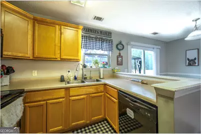 59 NE Laurel Way, Ludowici, GA 31316 - Photo 9