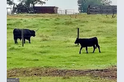 9447 Clarks Mill Road, Avera, GA 30803 - Photo 23