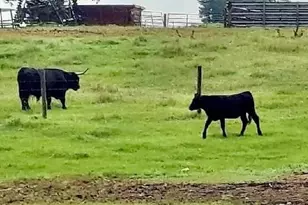 9447 Clarks Mill Rd, Avera, GA 30803 - Photo 23