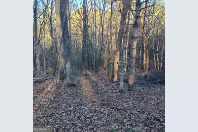 38 Sweetwater Trail #38, Epworth, GA 30541 - Photo 27