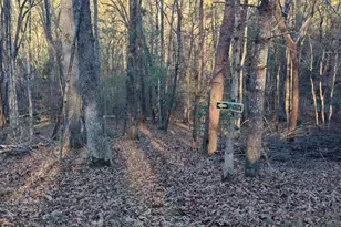 38 Sweetwater Trail, Epworth, GA 30541 - Photo 27