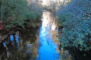 38 Sweetwater Trail, Epworth, GA 30541 - Photo 29