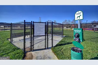 465 Mtn Creek Road, Blairsville, GA 30512 - Photo 39