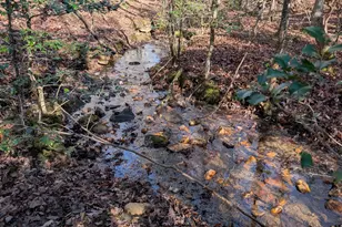 230 Pine Forest Loop, Blue Ridge, GA 30513 - Photo 35