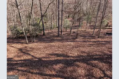 230 Pine Forest Loop, Blue Ridge, GA 30513 - Photo 37