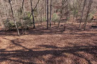 230 Pine Forest Loop, Blue Ridge, GA 30513 - Photo 37