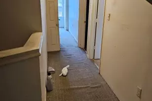 251 Ward St, Macon, GA 31201 - Photo 9