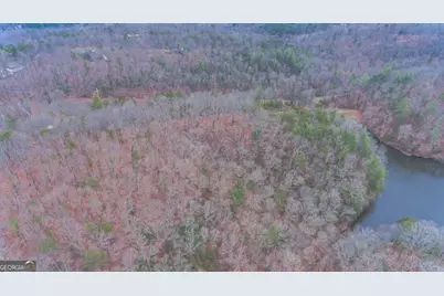 363 Lake Road, Dawsonville, GA 30534 - Photo 9