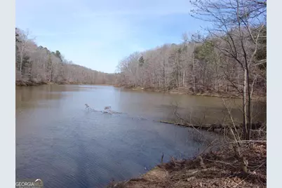 363 Lake Road, Dawsonville, GA 30534 - Photo 3