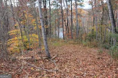 363 Lake Road, Dawsonville, GA 30534 - Photo 39