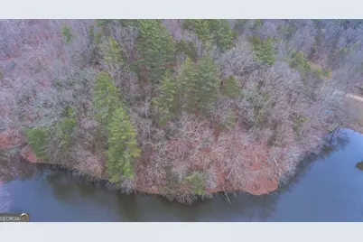 363 Lake Road, Dawsonville, GA 30534 - Photo 21