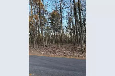 Lot 1 &amp; Lot 15 Mountain Ridge Drive, Waverly Hall, GA 31831 - Photo 5