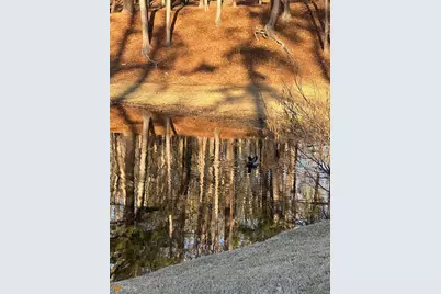 Lot 19 Mountain Ridge Drive, Waverly Hall, GA 31831 - Photo 11