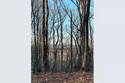 Lot 19 Mountain Ridge Drive, Waverly Hall, GA 31831 - Photo 21