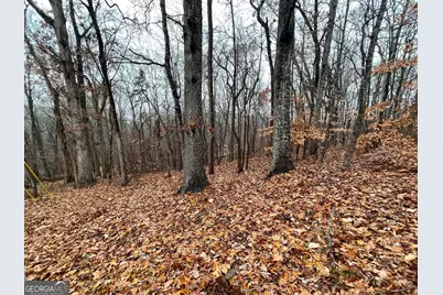 0 S Arrowhead Drive #LOT 2134, Westminster, SC 29693 - Photo 5