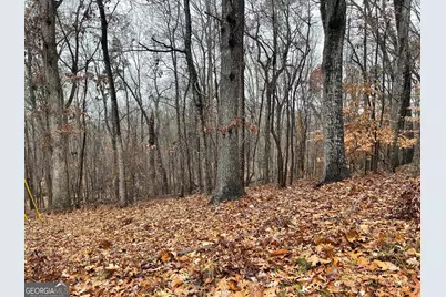 0 S Arrowhead Drive #LOT 2134, Westminster, SC 29693 - Photo 3