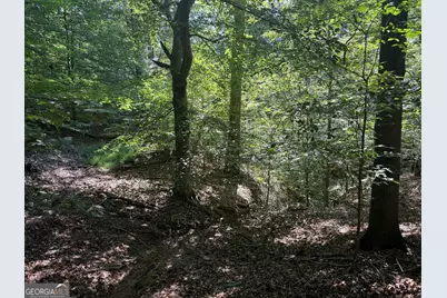 14.4 Acres Roy Parks Road, Talmo, GA 30575 - Photo 15