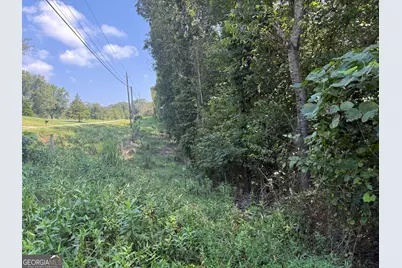 14.4 Acres Roy Parks Road, Talmo, GA 30575 - Photo 13