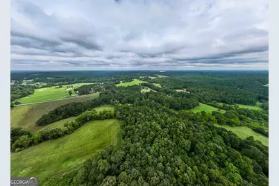 9.3 Acres Roy Parks Road, Talmo, GA 30575 - Photo 9