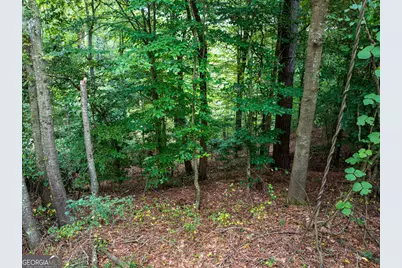 8.2 Acres Roy Parks Road, Talmo, GA 30575 - Photo 19