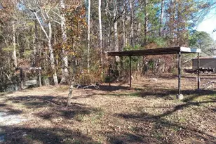 265 Perry Ln, Buchanan, GA 30113 - Photo 11