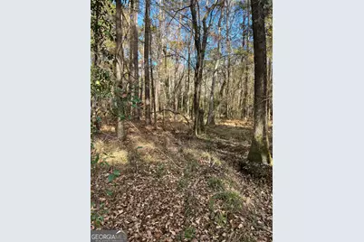 6419 Cochran Highway, Cochran, GA 31014 - Photo 49