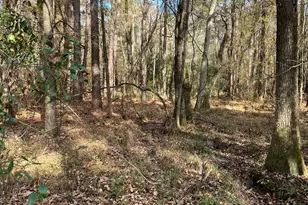 6419 Cochran Hwy, Cochran, GA 31014 - Photo 49