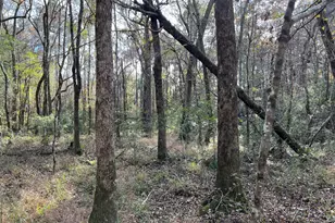 6419 Cochran Hwy, Cochran, GA 31014 - Photo 51