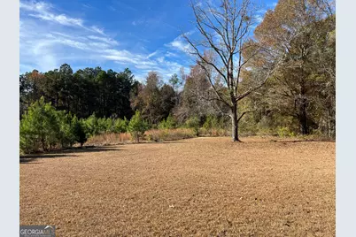 6419 Cochran Highway, Cochran, GA 31014 - Photo 25