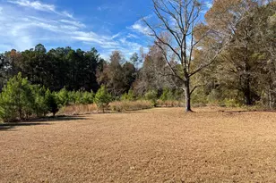 6419 Cochran Hwy, Cochran, GA 31014 - Photo 25