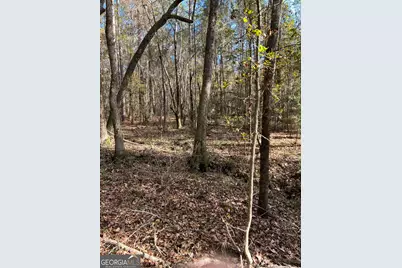 6419 Cochran Highway, Cochran, GA 31014 - Photo 47