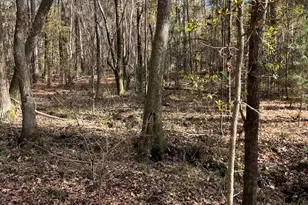 6419 Cochran Hwy, Cochran, GA 31014 - Photo 47