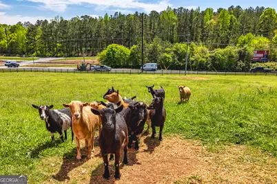 941 Highway 16 W, Newnan, GA 30263 - Photo 39