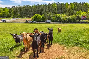 941 Hwy 16 W, Newnan, GA 30263 - Photo 39