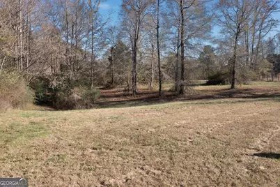 0 W McIntosh Road, Brooks, GA 30205 - Photo 25