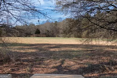 0 W McIntosh Road, Brooks, GA 30205 - Photo 17