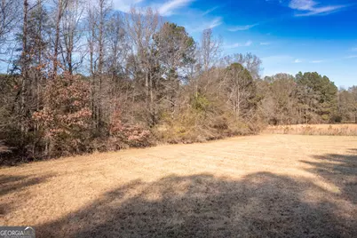 0 W McIntosh Road, Brooks, GA 30205 - Photo 15