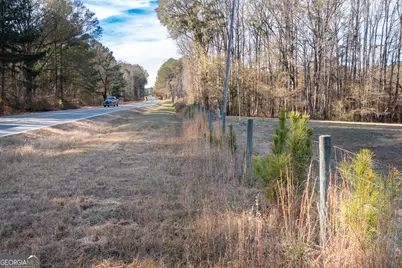 0 W McIntosh Road, Brooks, GA 30205 - Photo 13