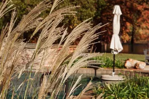 1603 Boutwell Rd, Perry, GA 31069 - Photo 47