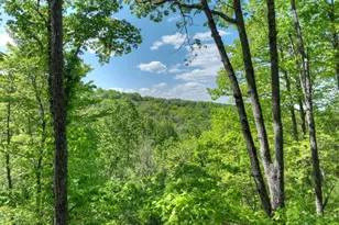 536 Lakeview Rd, Blue Ridge, GA 30513 - Photo 41