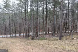 1217 Henderson Cir, Lyerly, GA 30730 - Photo 23