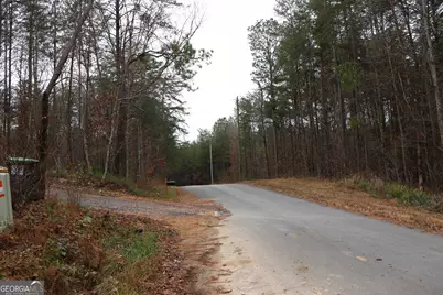 1217 Henderson Circle, Lyerly, GA 30730 - Photo 49