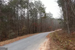 1217 Henderson Cir, Lyerly, GA 30730 - Photo 53